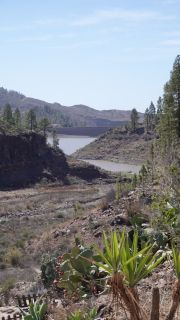 2022-03-GranCan-Presa_Chira-Trekking-PM-NN-34.JPG
